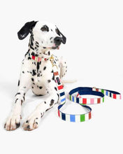 Load image into Gallery viewer, ADVENTURE STRIPE LEASH