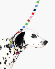 Load image into Gallery viewer, ADVENTURE STRIPE LEASH