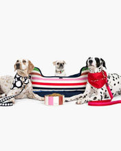 Load image into Gallery viewer, ADVENTURE STRIPE PET BED